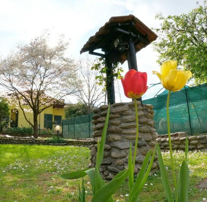 Вилла Il Vecchio Kiwi - House With Private Garden Оледжо-Кастелло Экстерьер фото