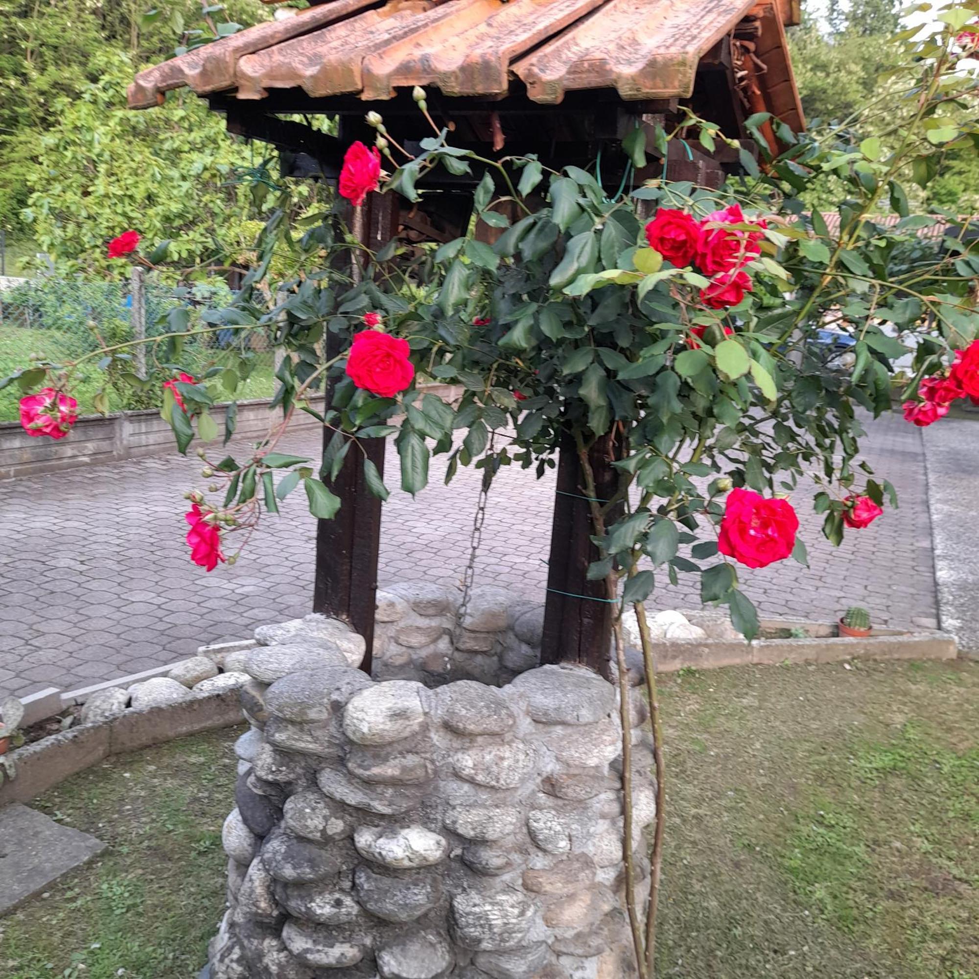 Вилла Il Vecchio Kiwi - House With Private Garden Оледжо-Кастелло Экстерьер фото